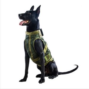 Tactic Harness, Type Ghost
