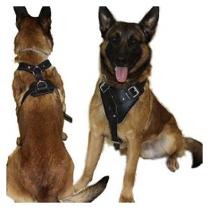Harnesses